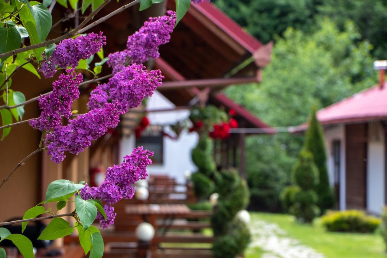 Patakmenti Panzio Spa 코룬드 외부 사진